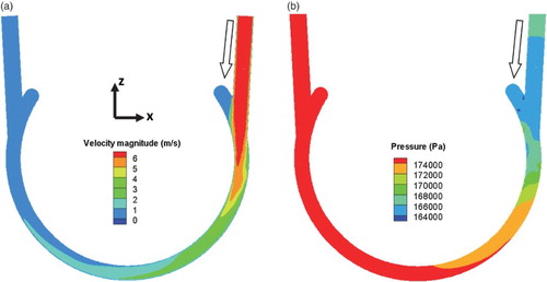 Figure 5. Computed hydrodynamic fields: (a) velocity contours; (b) pressure contours in the axial cross-section y = 1.