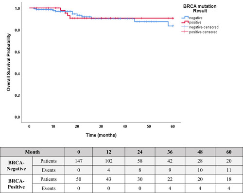 Figure 2 Kaplan–Meier Estimates of OS: 92.5% in patients with positive BRCA1/2 mutation versus 92.0% in patients with no mutation, P=0.65.