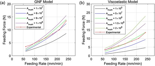 Figure 3. Measured and predicted feeding force at different feeding rates. The predictions are conducted for various Amush and generated using two models: (a) the GNF model and (b) the viscoelastic model.