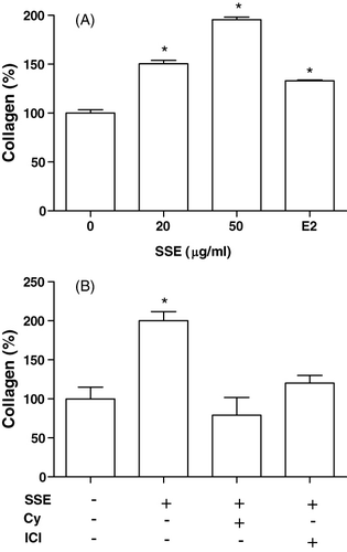 Figure 3. Effect of SSE on the collagen synthesis of MC3T3-E1 cells. After the cells reached confluence, the medium was replaced with phenol red-free α-MEM containing 5% CD-FBS in the presence or absence of SSE (A), and in combination with 50 µg/ml SSE and 10−6 M cycloheximide (Cy) or 10−6 M ICI182780 (ICI) (B). E2 (17β-oestradiol, 0.1 µM) was used as positive control. Data shown are mean±SEM, expressed as a percentage of control. The control value for collagen content was 2.83±0.43 µg per 107 cells. *P<0.05 vs. control.