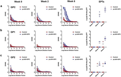 Figure 3. Pre-challenge LASV-specific binding antibodies. NHP serum samples were collected at Weeks 0, 2, and 6 post-immunization and before challenge as described in Figure 2. Specific IgG binding against LASV GPC (a), GP1 (b), and GP2 (c) were measured by ELISA and endpoint titers (EPTs, right panel) were calculated as described in the methods.