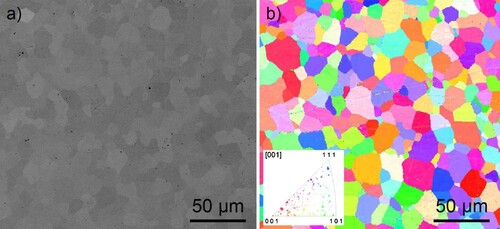 Figure 6. Microstructure of the (HfTaZrNb)C sintered for 7 min at 2300°C: (a) SEM; and (b) EBSD [Citation78].