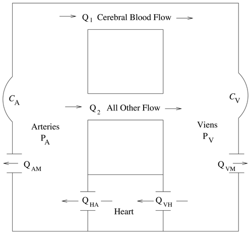 Figure 1. The two-compartment model.