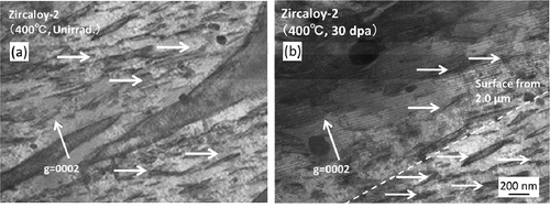 Figure 14. STEM-BF images of Zircaloy-2: (a) microstructure of an unirradiated region exposed to the same heat conditions at 400°C with a dose of 30 dpa and (b) microstructure of the peak-damage region of the sample irradiated with a dose of 30 dpa at 400°C.