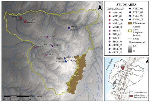 Figure 1. The Pichincha forest dynamics monitoring transect on the western versant of the Ecuadorian Andes, located near Quito in the Andean Choco Biosphere Reserve, comprises 16 permanent plots (represented by coloured dots along the elevation gradient) spanning an elevation of ca. 3,000 m (represented in greyscale).