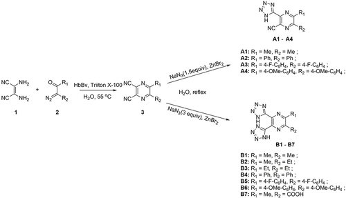 Figure 2 Chemoenzymatic synthesis of tetrazole-substituted pyrazine compounds.
