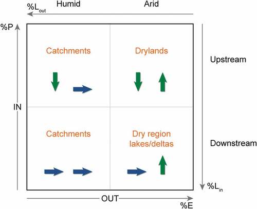 Figure 4. Categorization of hydroclimatic landscape situations based on composition of water inflow and outflow. Axes show percentage of vertical inflow and outflow components, respectively. P= precipitation; E = evaporation; Lin = river inflow; Lout = river outflow. Adapted from Weiskel et al. (Citation2014).