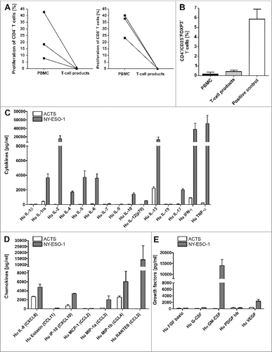 Figure 3. T-cell lines show effector memory phenotype with TH1 cytokine profile that do not include regulatory (T)cells. (A) There was no induction of alloreactivity when T cells of the final T-cell products and PBMCs of the same donor from donor 1, 7 and 4 were stimulated with allogeneic PBMCs and proliferation was analyzed via CFSE staining. Background proliferation using stimulation with autologous PBMCs was subtracted. (B) The final T-cell products were evaluated by immunostaining and flow cytometry for the frequency of regulatory T cells (Tregs) in comparison to peripheral blood mononuclear cells (PBMCs). T cells stimulated with 1000 U/mL IL-2 and CD3/CD28 beads were used as a positive control for appropriate gating of Tregs. Bars represent the mean results +/− SD of CD25+ FOXP3+ T cells from 3 different donors. (C–E) To quantify TH1 cytokines (C), chemokines (D) and growth factors (E) in the supernatants of T cells, the T-cell line from donor 1 was re-stimulated for 6 h with NY-ESO-1-or ACTS-pulsed DCs and supernatants were analyzed in a multiplex magnetic cytokine assay. All multiplex analyses represent mean results of 4 wells from 2 undiluted and 2 diluted (1:2, so values multiplied by 2) +/− SD of a T-cell line from donor 1.