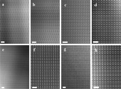 Figure 3. STEM micrographs of (Mo2/3RE1/3)2GaC i-MAX phases showing the characteristic chemical order, as described primarily by a space group #63 (Cmcm) symmetry. The samples (a) RE = Gd and (b) RE = Tb are viewed along the [110] zone axis, showing a zig-zag-like pattern along with the chemical order. The samples (c) RE = Dy, (d) RE = Ho, (f) RE = Tm and (h) RE = Lu are viewed along the [010] zone axis. In (e) and (g), for the Er and Yb samples, respectively, both #63 (Cmcm) and #15 (C2/c) symmetries are present in a single grain (segments marked with arrows), thus this orientation corresponds to the [010] zone axis for (Cmcm) and the [110] zone axis for (C2/c). The scale bars in (a)–(h) are 1 nm.