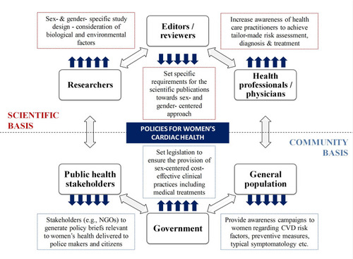 Figure 2 Policy-making to address gender equity in cardiovascular disease (CVD) and target audiences.