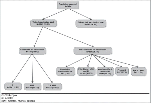 Figure 4. Results of the vaccination coverage in the campsite.