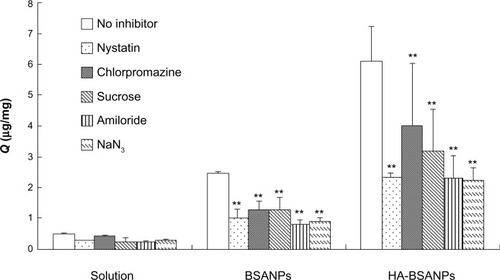 Figure 9 The effect of the inhibitors on the uptake of chondrocyte in vitro (n=6).Note: **P<0.01 compared with no inhibitor.Abbreviations:Q, uptake of the unit cell value; BSANPs, bovine serum albumin nanoparticles; HA-BSANPs, hyaluronic acid-coated BSANPs.