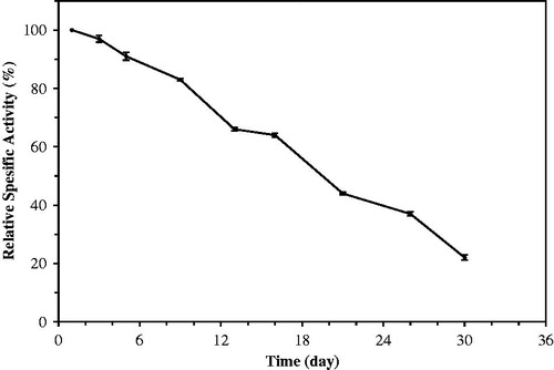 Figure 12. Storage stability of immobilized laurel lipase.