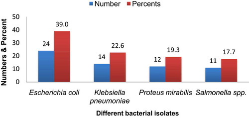 Figure 1 The proportions of bacterial isolates from chicken droplets.