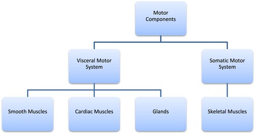Figure 1. Motor components.