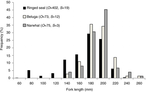 Fig. 2  Frequency distribution of Arctic cod size (fork length [FL], mm) found in the stomachs of ringed seals, belugas and narwhals. The symbol O represents the number of otoliths sampled, and S represents the number of stomachs collected. Arctic cod fork length was extrapolated from otolith length (OL) using FL=24.20*OL – 4.29 (Matley et al. Citation2013).