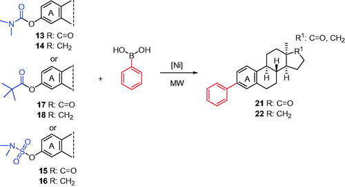 Scheme 4. Syntheses of 3-deoxy-3-phenyl-13α-estrones (21, 22). Reagents and conditions: from carbamates (13 or 14): NiCl2(PCy3)2 (10 mol%), phenylboronic acid (4 equiv.), K3PO4 (7.2 equiv.), toluene, MW, 130 °C, 1 h; from pivalates (17 or 18): NiCl2(PCy3)2 (10 mol%), phenylboronic acid (4 equiv.), K3PO4 (7.2 equiv.), MeCN, MW, 75 °C, 30 min; from sulfamates (15 or 16): NiCl2(PCy3)2 (10 mol%), phenylboronic acid (4 equiv.), K3PO4 (7.2 equiv.), toluene, MW, 130 °C, 1 h.