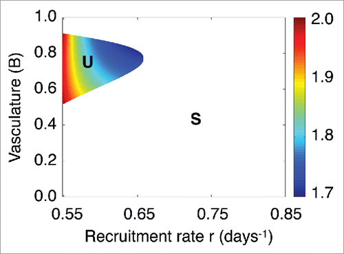 Figure 6. Dependence of the zero-rate energy function zˆ(t) effect on the functional tumor-associated vasculature B and immune recruitment rate r. Dependence of the effect of zˆ(t) on the model parameters r and B in the unstable regime of L denoted by U. The label (S)stands for the regime where the spiral point is stable and tumor control is reached.