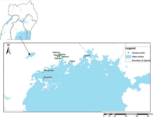 Figure 1. Geographical location of study area