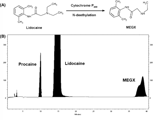 Figure 8. (A) Conversion of lidocaine to MEGX by N-deethylation reaction catalyzed by hepatocytes with CYP450 activity. (B) Representative HPLC chromatogram demonstrating procaine (internal standard), lidocaine, and MEGX peaks.