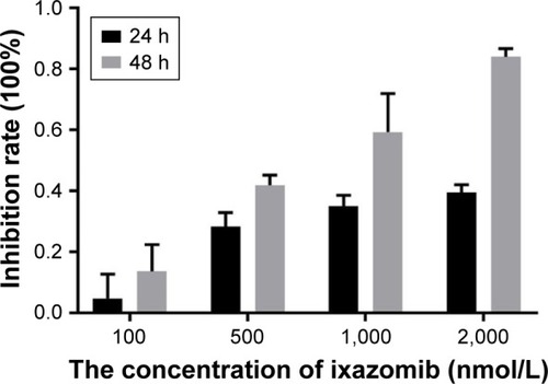 Figure 1 The inhibition of ixazomib on the proliferation of SW620 cells.