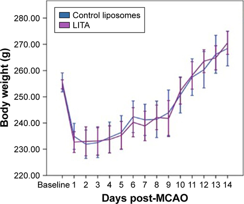 Figure S1 Daily body weights of rats treated with control and liposome-encapsulated acetate (LITA) during the 2 weeks after middle-cerebral artery occlusion (MCAO).