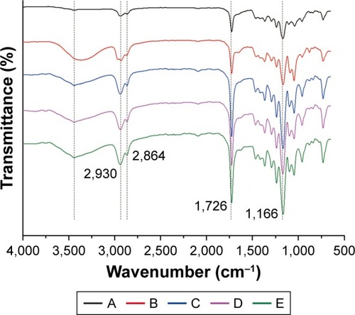 Figure 3 FTIR spectra of the following: A, PCL; B, PCL/DA; C, PCL/NS0.5; D, PCL/NS1.0; E, PCL/NS2.0 (n=3).Abbreviations: DA, dopamine; FTIR, Fourier transform infrared; NS, nanosilver; PCL, polycaprolactone.