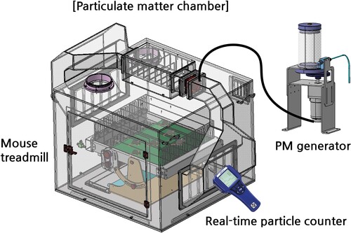 Figure 1. A schematic of the PM Chamber. The PM generator supplies fine dust to the chamber, and the concentration of fine dust in the chamber is being monitored by a real-time particle counter. The PM chamber is equipped with a mouse treadmill with adjustable exercise intensity and duration.