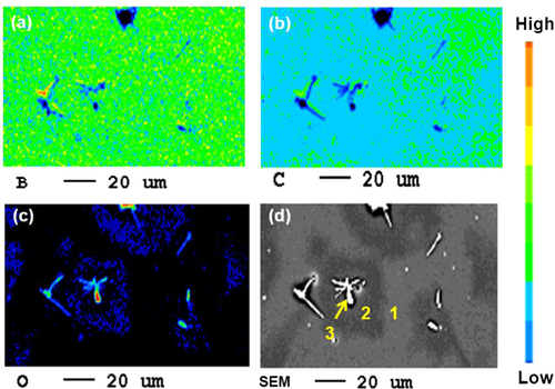 Figure 6. Elemental mapping of an a-BC:H oxide film surface after exposure to humid condition within 24 h: (a) B mapping, (b) C mapping, (c) O mapping and (d) SEM image.