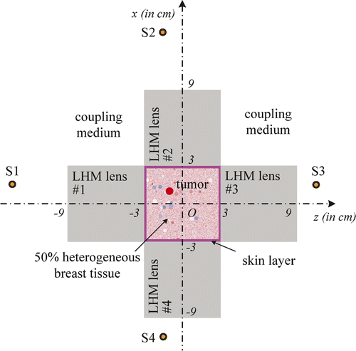 Figure 2. Hyperthermia system with four LHM lenses.