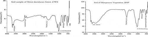 Figure 4. FT-IR spectra of CWS and BNP soil samples.