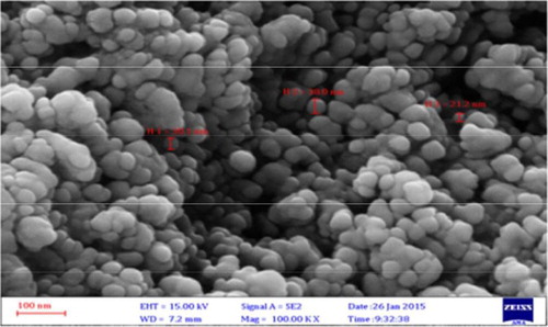 Figure 4. SEM image of synthesized AgNPs by P. harmala extract.