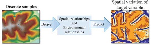 Figure 1. Derivation of relationships from samples for spatial prediction.