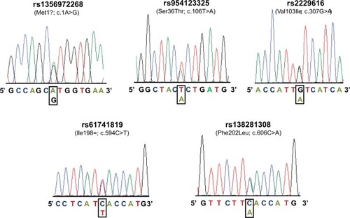 Figure 1 Electropherogram of MC4R variants identified in this study.