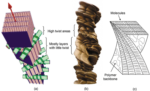 Figure 18. (Colour online) Structure of the Twist Grain Boundary phase, (a) showing the spiralling structure composed of screw dislocations [Citation43,Citation44], (b) a model where the molecules are dynamically fluctuating with periodic liquid-like or soft regions of twist, and (c) proposed structure of a smectic A* phase of a chiral liquid crystal side chain polymer [Citation46,Citation47].