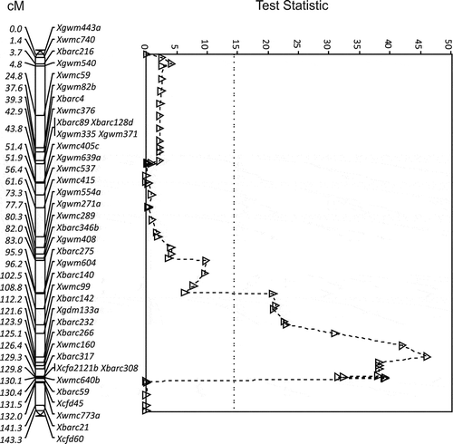 Fig. 4 The LOD for QTL for resistance to Ustilago tritici identified for 8021V2/Karma chromosome 5B with race T39 (Δ, dashed line). The MQTL Test Statistic threshold is shown as a straight dotted line for the P = 0.05 level of significance for the most conservative threshold.