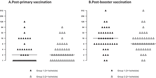 Figure 3. hSBA titres against individual serogroup B strains at one month post-primary (A) and booster (B) vaccination.hSBA, serum bactericidal antibody assay with human complement. Note: Horizontal lines represent the median value for hSBA titres in each group.