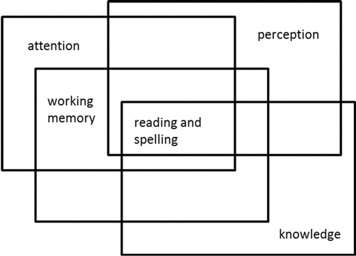 Fig. 1. Profiles of dyslexia. Individual deficit profiles of dyslexia can lead to a systematic concept addressing how processing types overlap and how individual training concepts can be developed.
