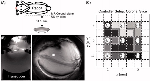 Figure 4. (A) Rabbit’s position during all controller tests. (B) Anatomical MR image of in vivo rabbit experiment in the transverse (left) and coronal (right) planes respectively. White box indicates approximate treatment location for run 1. (C) Controller configuration: single-pass–raster scan treatment plan with nine treatment cells covering a 5 × 5 × 3 mm volume. Each cell was heated by a single focal zone position (circles). Shading and outlines indicate to which cell each treatment voxel was assigned.
