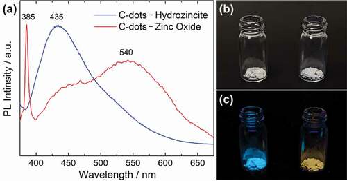 Figure 7. (a) Photoluminescence spectra of C-dots–hydrozincite nanocomposite and C-dots–zinc oxide nanocomposite excited at 365 nm. The appearance of the C-dots–hydrozincite powder (left) and the C-dots–zinc oxide powder (right) under (b) daylight and (c) UV 365 nm lamp illumination