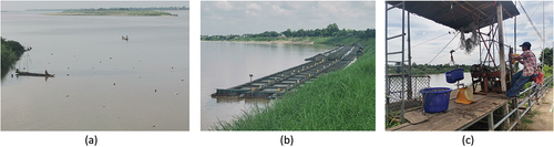 Figure 7. Fishing and fish production and consumption: (a) a boat-operated drift-net, (b) a fish-farm, and (c) a resident in That Phanom buying fish at a fish-farm.