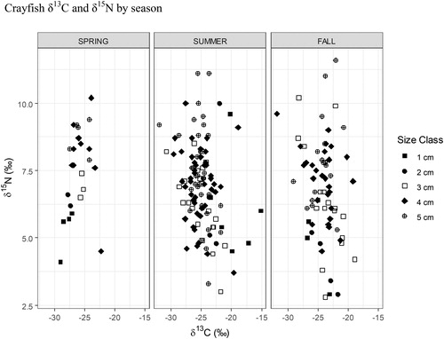 Figure 10. 2017 Buffalo Lake northern crayfish seasonal trophic diversity. Average crayfish δ15N values are highest in spring, when δ15N was 7.45‰, and nearly identical in summer and fall, when δ15N was 6.9 and 6.8‰, respectively. Juvenile crayfish (1 cm CL) δ13C values shift from −30‰ in spring to −15‰ in summer, which is indicative of a shift from allochthonous (detritus) to autochthonous (periphyton) prey sources.