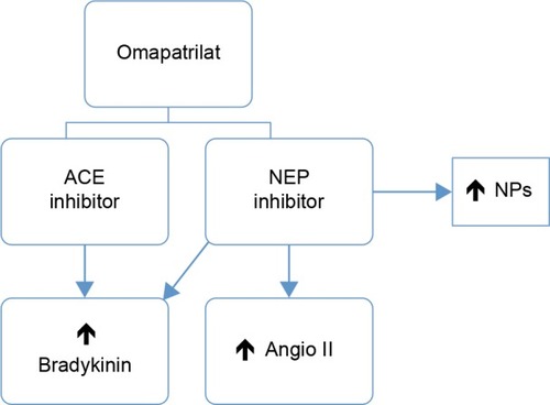 Figure 2 Schematic of action mechanism of NEP and ACE inhibitors (omapatrilat).