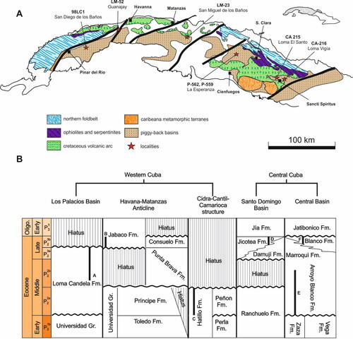Figure 1. A, schematic tectonic map of western and central Cuba (after Iturralde-Vinent, Citation1994) with locations of the stratigraphical sections and samples. B, stratigraphical relations of the Eocene units in western and central Cuba slightly modified from García-Delgado & Torres-Silva (Citation1997). Stratigraphical ranges of the studied sections, A (98LC-1), B (LM-52), C (LM-23), D (P-559, P-562), E (CA-215), F (CA-216).
