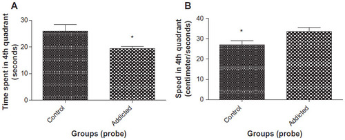 Figure 3 (A) Time spent in fourth quadrant in probe trial (n=10). (B) Speed of swimming in fourth quadrant in probe trial (n=10).