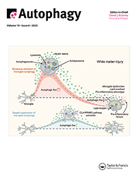Cover image for Autophagy, Volume 19, Issue 6, 2023