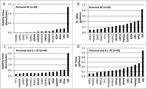 Figure 1. Evaluation of stability- and M-values for reference genes in adipose tissue (AT) using qPCR. The evaluation was performed in 2 sets of adipose tissue samples. The first set (A and B) included 20 samples of perirenal AT with half of them containing variable levels of brown adipocytes. The second set (C and D) included the previously analyzed preirenal AT samples as well as 20 s.c. AT samples from both lean and obese subjects. qPCR results from both sets of samples were analyzed using 2 different algorithms; the normfinder algorithm (A and C) and the geNorm algorithm (B and D). Gene symbols in bold text are classified as commonly used reference genes.