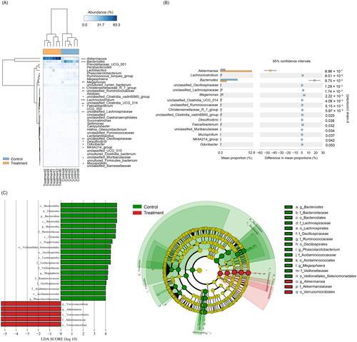 Figure 2. Differences in dominant genera in caecal microbiota between the treatment and control groups of Chinese chickens. (A) Heatmap; (B) Extended error bar; (C) LEfSe. *p < 0.05; **p < 0.01; ***p < 0.001.