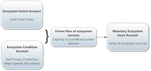 Figure 1. Schematic depiction of the structure of ecosystem asset accounts