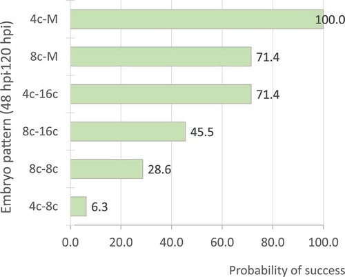 Figure 7. Probability of success of main cleavage patterns combining 48 and 120 hpi evaluations. Graph shows percentage of blastocyst formation in main cleavage patterns (n = 6 4c–M, 14 8c–M, 7 4c–16c, 11 8c–16c, 14 8c–8c, 16 4c–8c).